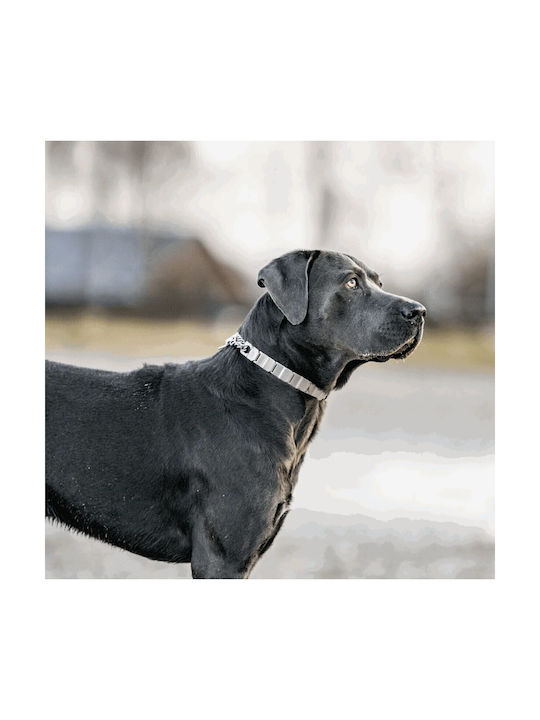 Sprenger Neck Tech Würgehalsband Edelstahl Silber 64cm Verschluss Sprenger Neck Tech Würgehalsband Edelstahl Silber 64cm Verschluss
