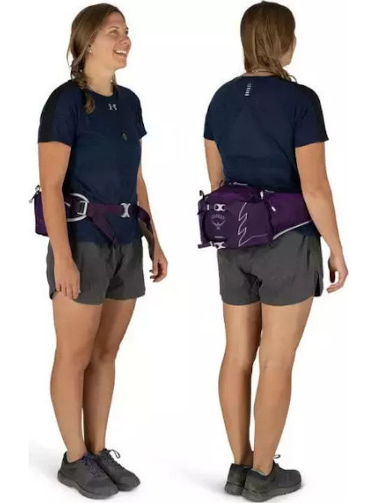 Tempest 6 Waist Bag Aluminum Grey