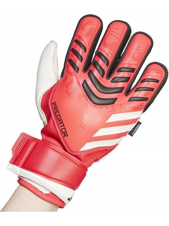 adidas Predator GL MTC FS Torwarthandschuhe Erwachsene Rot