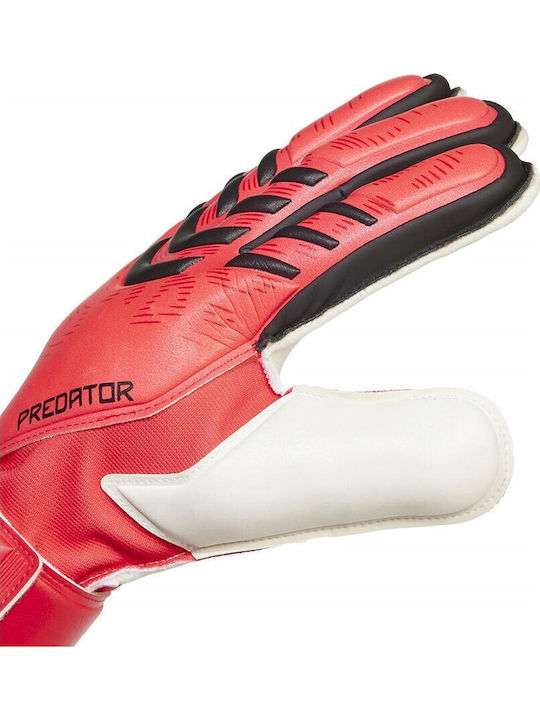 adidas Predator GL MTC FS Torwarthandschuhe Erwachsene Rot