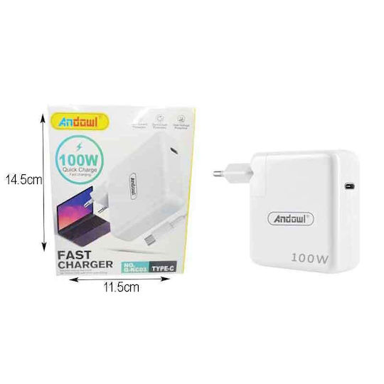 Andowl Ladegerät ohne Kabel mit USB-C Anschluss 100W Weißs (Q-KC03)