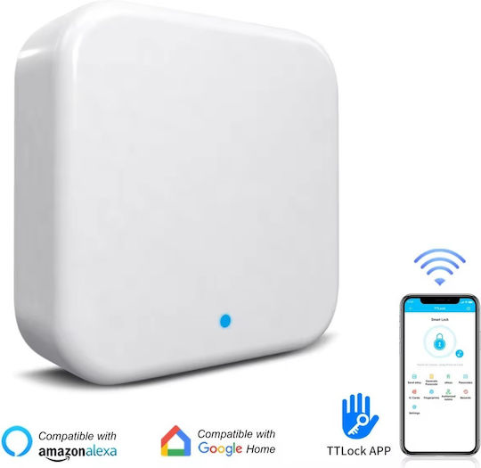 Electronic Lock in color Silver with Connectivity Wi-Fi and Bluetooth
