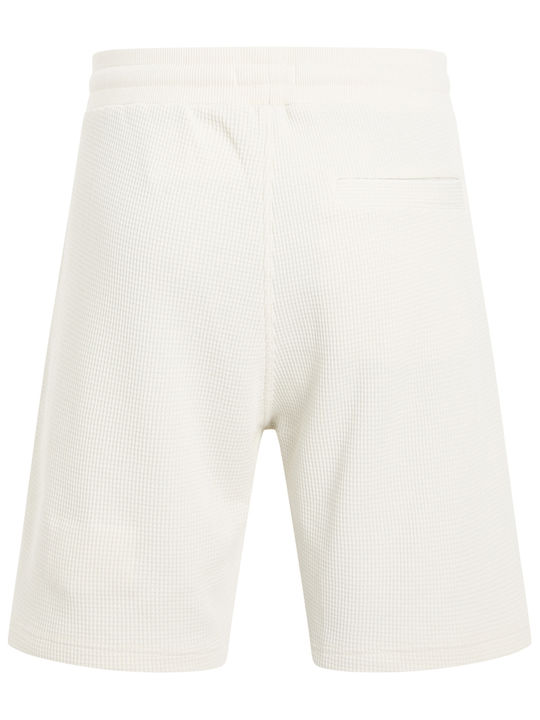 Calvin Klein Calvin Klein