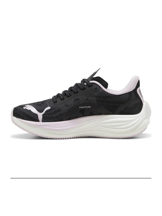PUMA PUMA