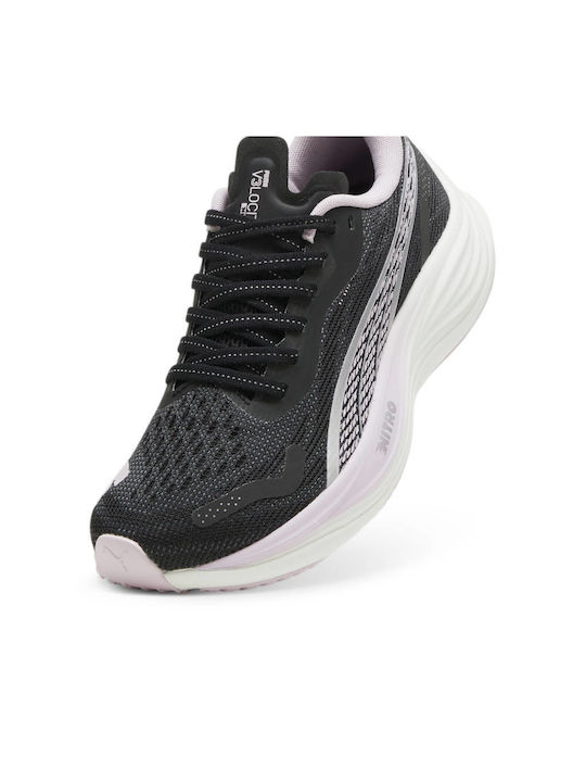 Velocity Nitro 3 Sport Shoes Running Black / Lilac - Black Lilac