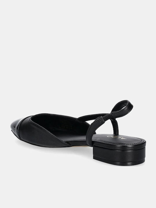 Aldo