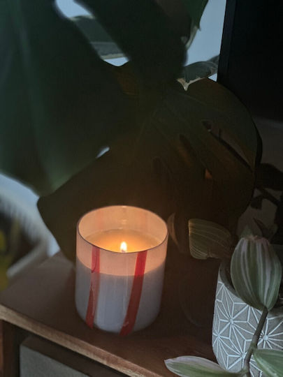 Maegen Lumânare Aromatică în Borcan cu Miros de Frunză de Mentă și Roșie 280gr