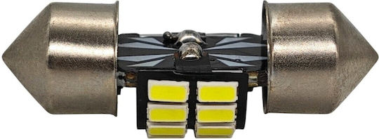 Lampen Auto C3W / C5W / C10W / C21W Canbus LED 5500K Kaltes Weiß 12V 1Stück