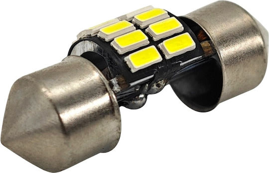 Lampen Auto C3W / C5W / C10W / C21W Canbus LED 5500K Kaltes Weiß 12V 1Stück