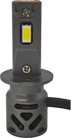 Lampen Auto H3 Canbus LED 5500K Kaltes Weiß 9-30V / 30V 2Stück
