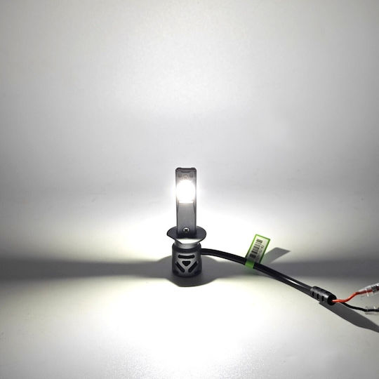 Lampen Auto H1 Canbus LED 5500K Kaltes Weiß 9-30V / 30V 2Stück