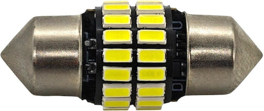 Lampen Auto C3W / C5W / C10W / C21W Canbus LED 5500K Kaltes Weiß 12V 1Stück