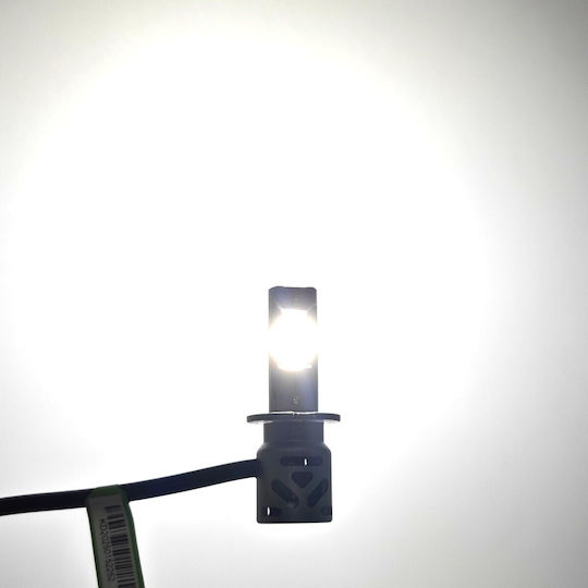 Lampen Auto H3 Canbus LED 5500K Kaltes Weiß 9-30V / 30V 2Stück