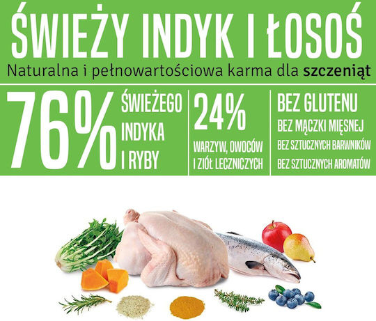 Arquivet Fresh 10kg Ξηρά Τροφή χωρίς Σιτηρά & Γλουτένη για Κουτάβια με Γαλοπούλα και Σολομό