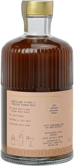 Ginger Mule Μη Αλκοολούχο Cocktail Mix 500ml Here's How