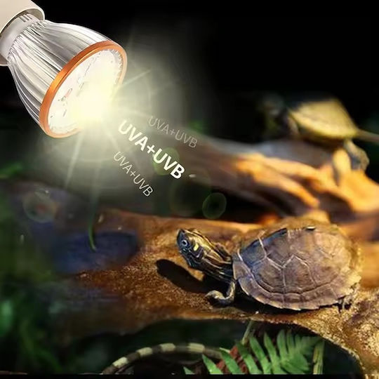 Λάμπα Ζέστης Led Uva+uvb 10 Φωτιστικά Ερπετών Χελώνας Χοντρό Σπείρωμα 3w