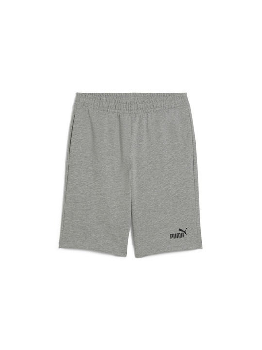 Puma Kids Shorts/Bermuda Fabric Gray