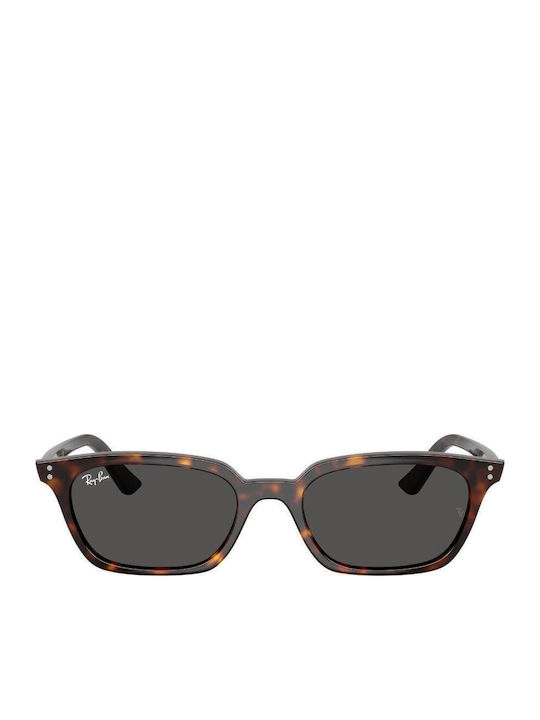 Ray Ban Sunglasses with Horn-Rimmed Frame