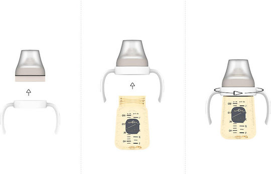 Bottle Handles