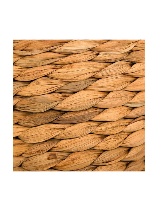 Pakketo Vază Decorativă Bambus Bej 18x18x57cm 1buc