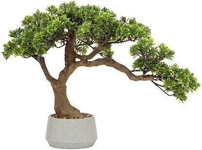 Bonsai Plantă În Ghiveci 45cm Atmosphera