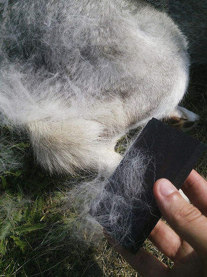 Pieptene Mici Câini pentru Îngrijirea Blănii maro