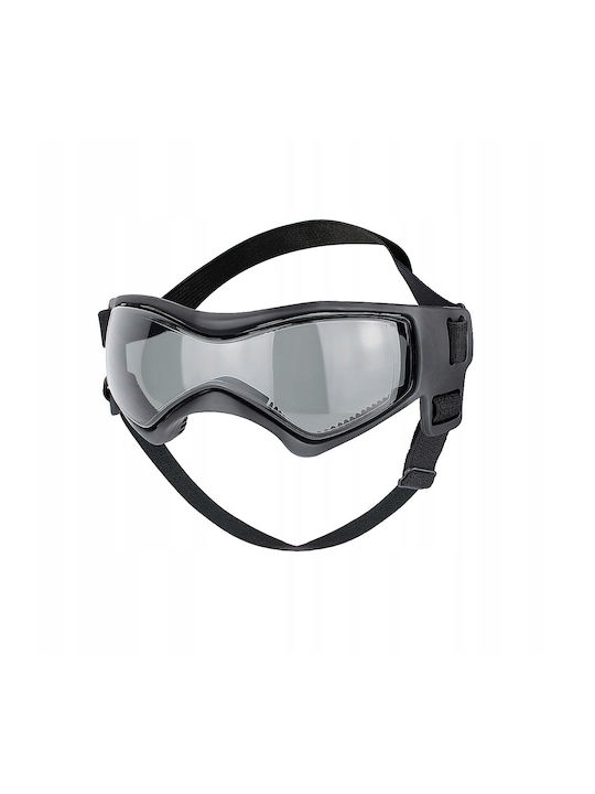 Schutzbrille Hunde Katzen Haustiere Motorrad Fahrrad UV400