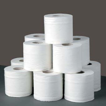 Toilettenpapier 24 Rollen (180gr/Rolle)