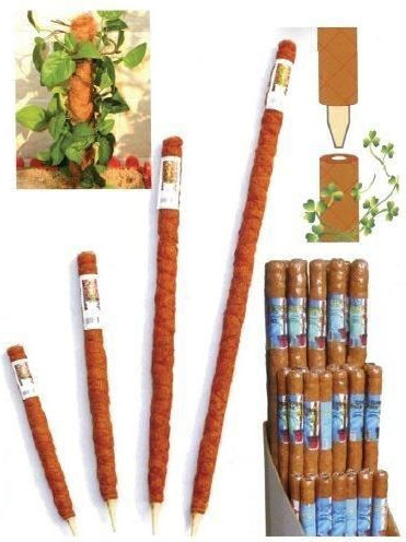 Suport decorativ pentru plante Strend Pro Greengarden Coco țăruș din bambus 4,5 X 60 cm