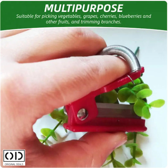 Foarfeci Mini de Grădină pentru Degete Compatibile cu Vița de Vie Fructe Lăstari de Legume Dimensiune 5 X 1.3 Cm Roșu Oferte Originale