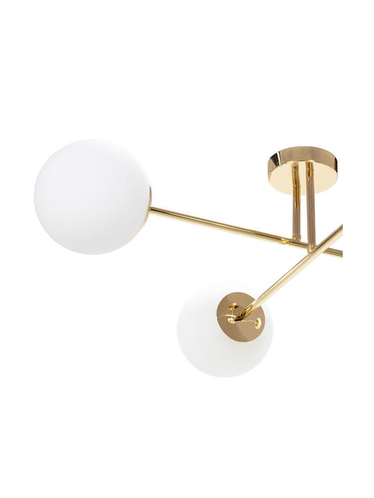 App1248-4cp Gold Ceiling Light Fixture