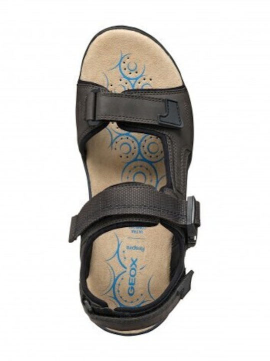 Spherica Men's Sandals Brown