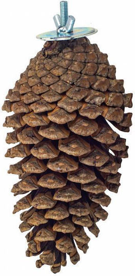 Perch Large Pinecone Birds Kingdom 13cm