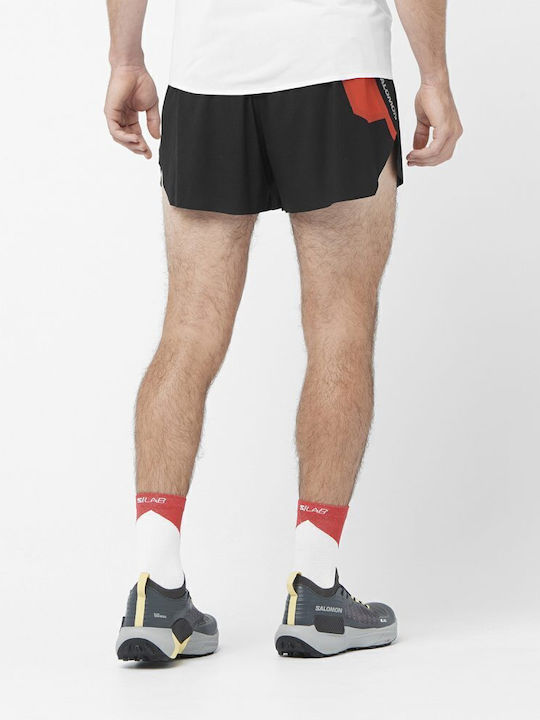 Salomon Salomon