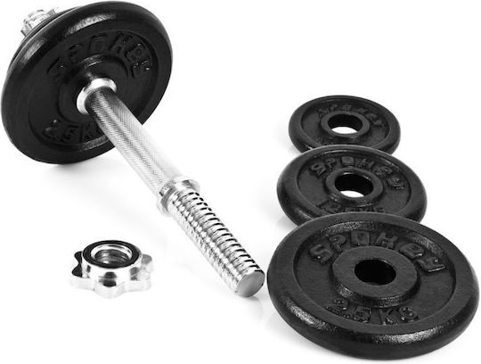 Spokey Egir Dumbbell Set 2x10.5kg