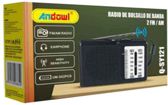 Andowl Q-SY121 Επιτραπέζιο Ραδιόφωνο Μπαταρίας Ασημί