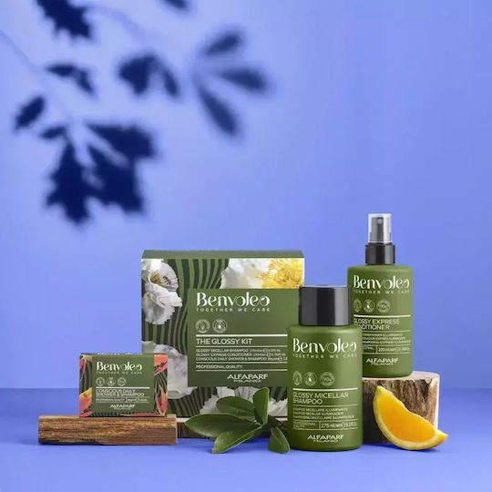 Alfaparf Milano Professional Benvoleo Glossy Σετ Περιποίησης για Λάμψη