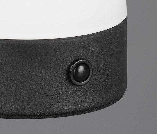 Trio Lighting Стъклена Настолна лампа LED с Бял Абажур и Основа
