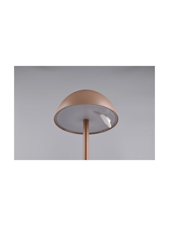 Trio Lighting Πλαστικό Πορτατίφ LED με Καφέ Καπέλο και Βάση