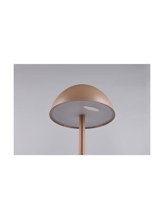 Trio Lighting Πλαστικό Πορτατίφ LED με Καφέ Καπέλο και Βάση
