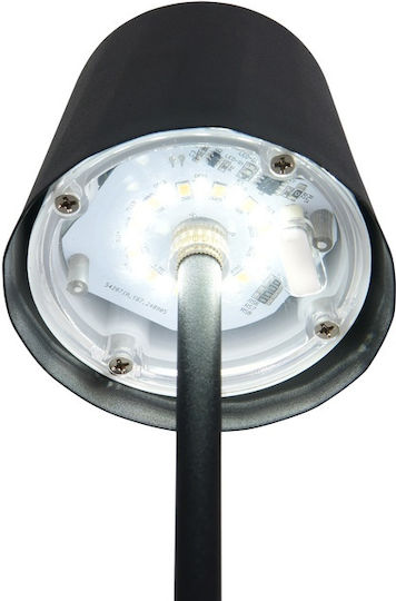Trio Lighting Μεταλλικό Πορτατίφ LED με Μαύρο Καπέλο και Βάση