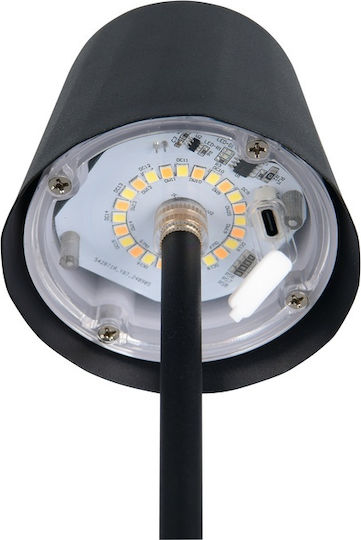 Trio Lighting Μεταλλικό Πορτατίφ LED με Μαύρο Καπέλο και Βάση