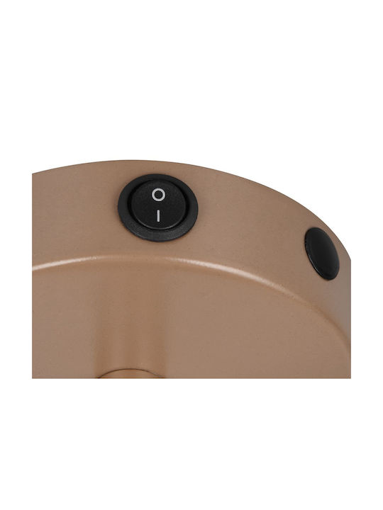 Trio Lighting Einzel Spot in Braun Farbe