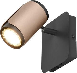 Trio Lighting Single Spot in Brown Color