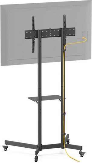 Akai Proffesional ST3670 Fernsehhalterung Boden bis 70" und 45kg
