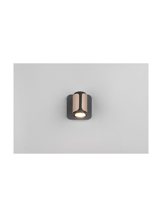 Trio Lighting Monos Spot în Culoare Maro