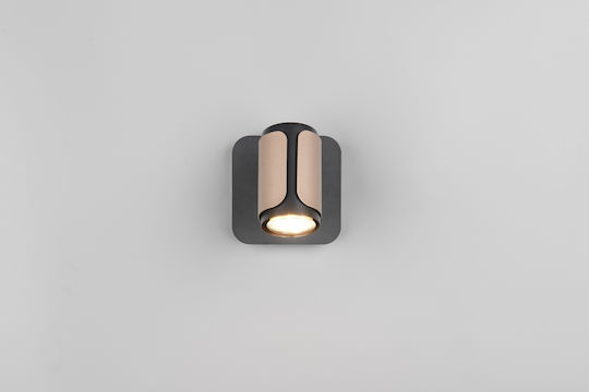 Trio Lighting Single Spot in Brown Color