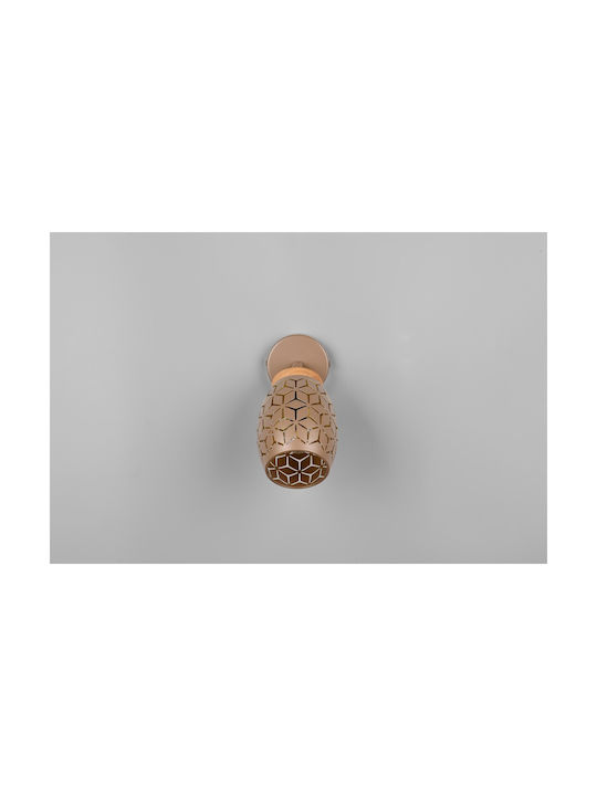Trio Lighting Einzel Spot in Braun Farbe
