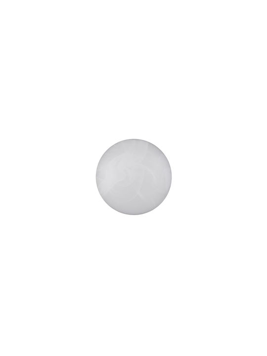 Trio Lighting Ceiling Mount Light