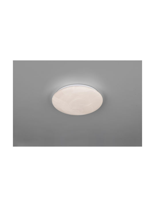 Trio Lighting Ceiling Mount Light